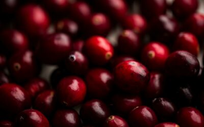 Cranberries: How Can You Avoid Acid Erosion This Holiday Season?