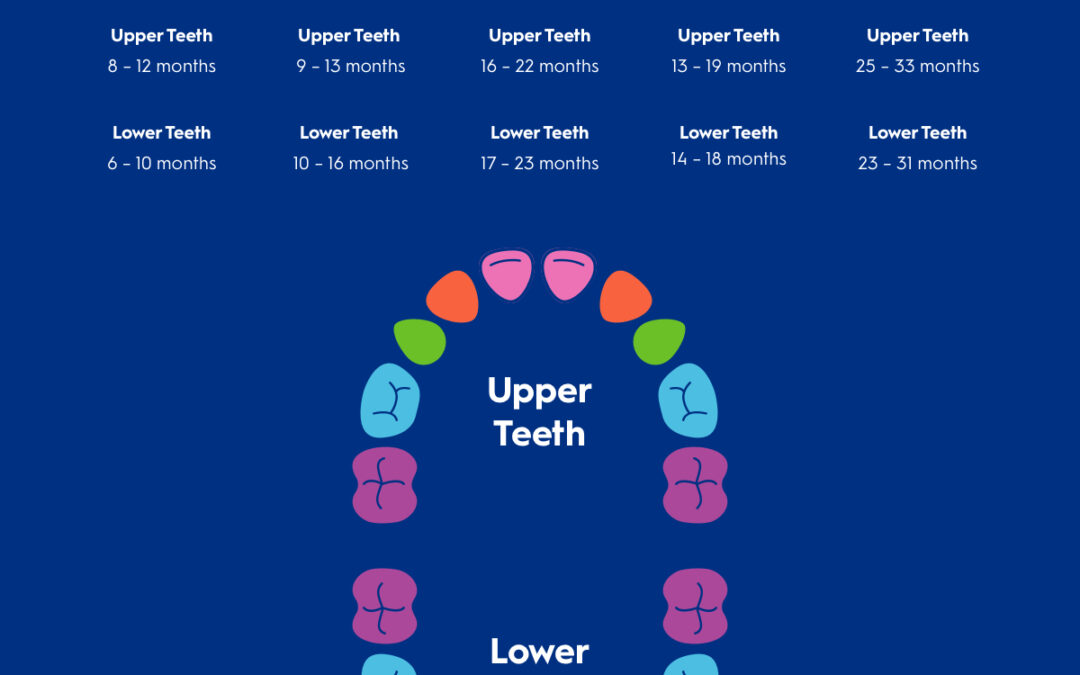 When Do Kids’ Teeth Fall Out and New Teeth Come In?