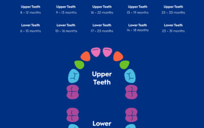 When Do Kids’ Teeth Fall Out and New Teeth Come In?